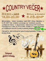/album/plagaty/country-vecer-2013-n-jpg/